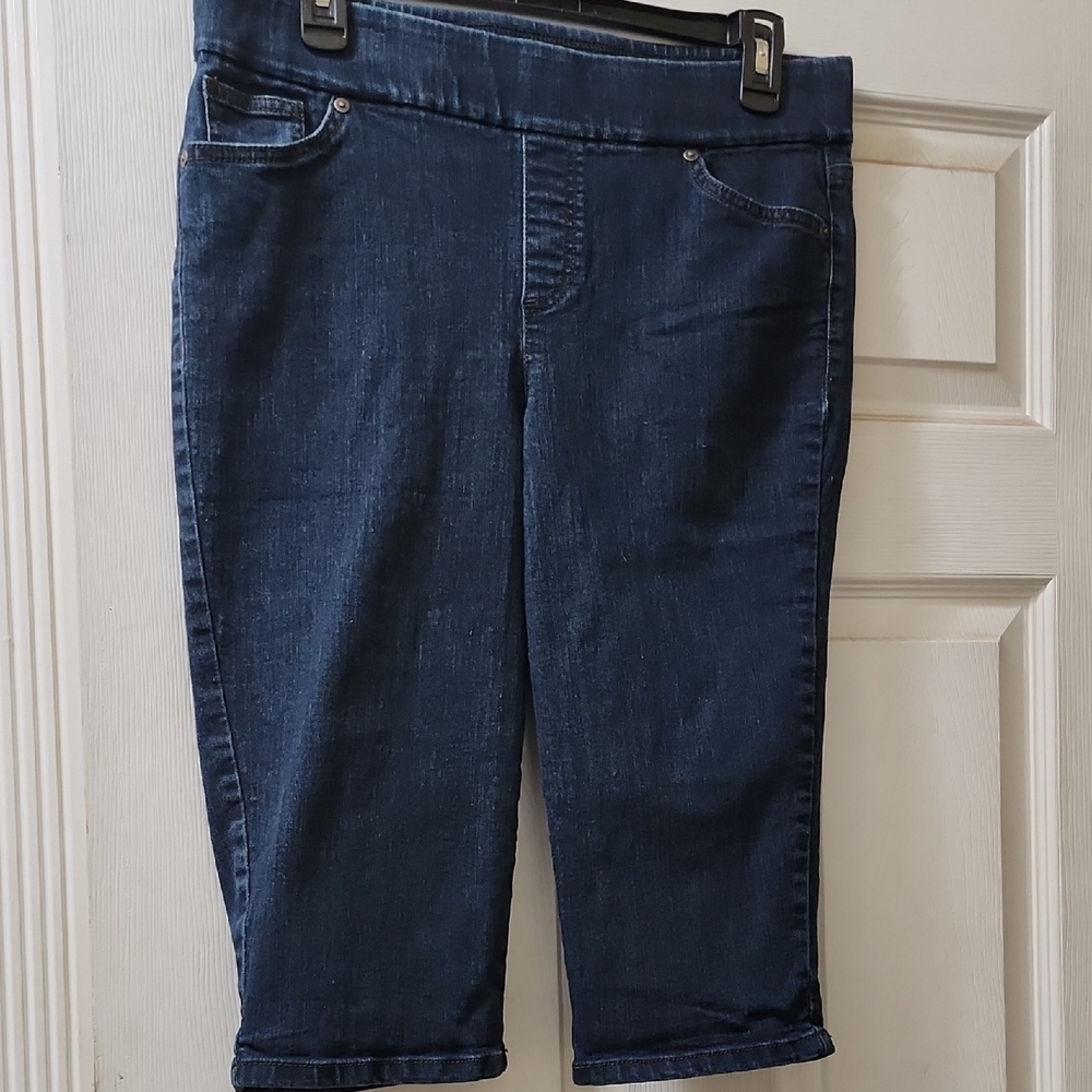 Style & Co. Dark Blue Denim Capris